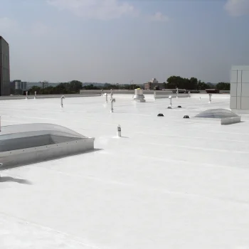 SinglePly_4-scaled