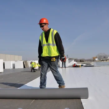 SinglePly_6